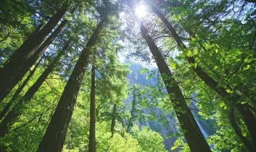 Environmental Sustainability